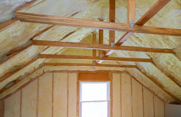 Best Specialized Insulation Services in Dothan, AL