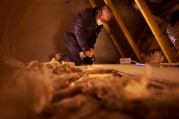 Best Cellulose Insulation in Dothan, AL